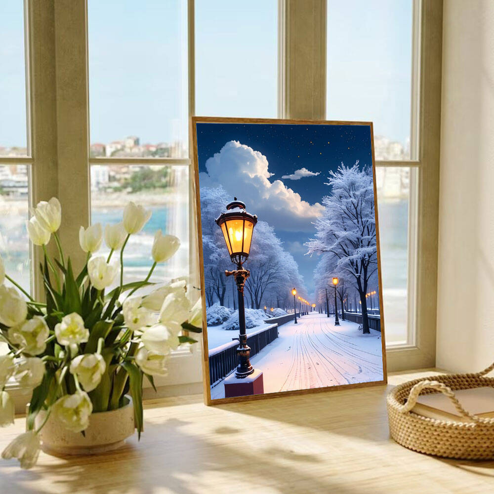 5D DIY diamantschilderij sneeu - Photo Mosaic Print recensie en prijs